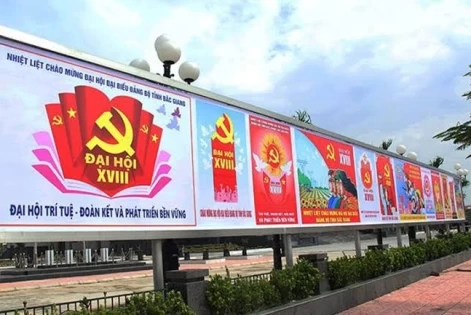 In bat Hiflex xuyên sáng và không xuyên sáng khác nhau thế nào