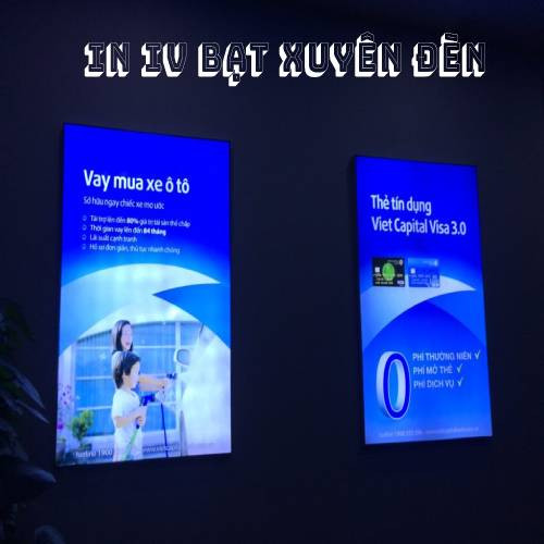 In bat Hiflex xuyên sáng và không xuyên sáng 