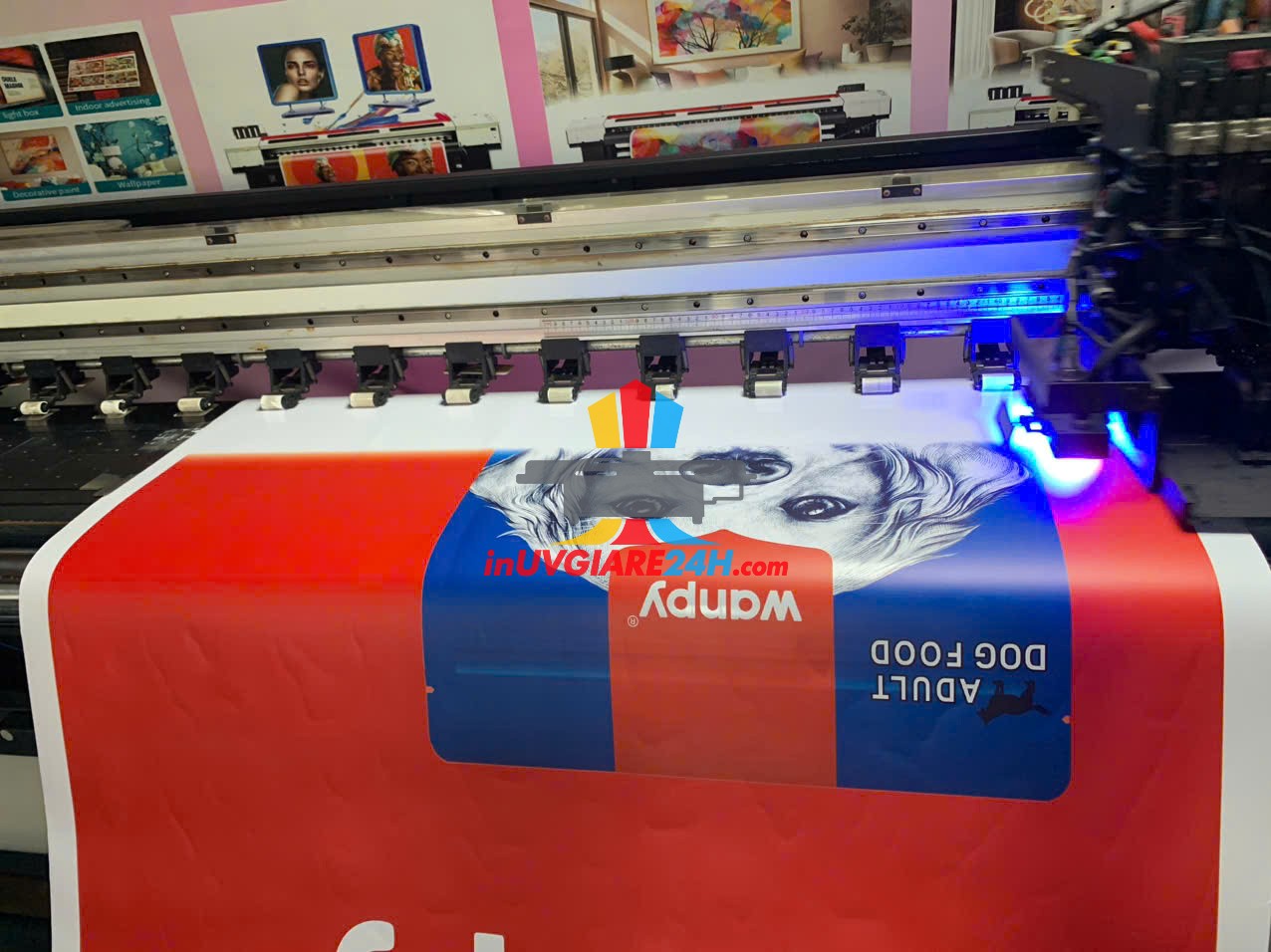 in UV lấy liền