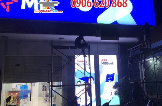 Bạt không gân in UV